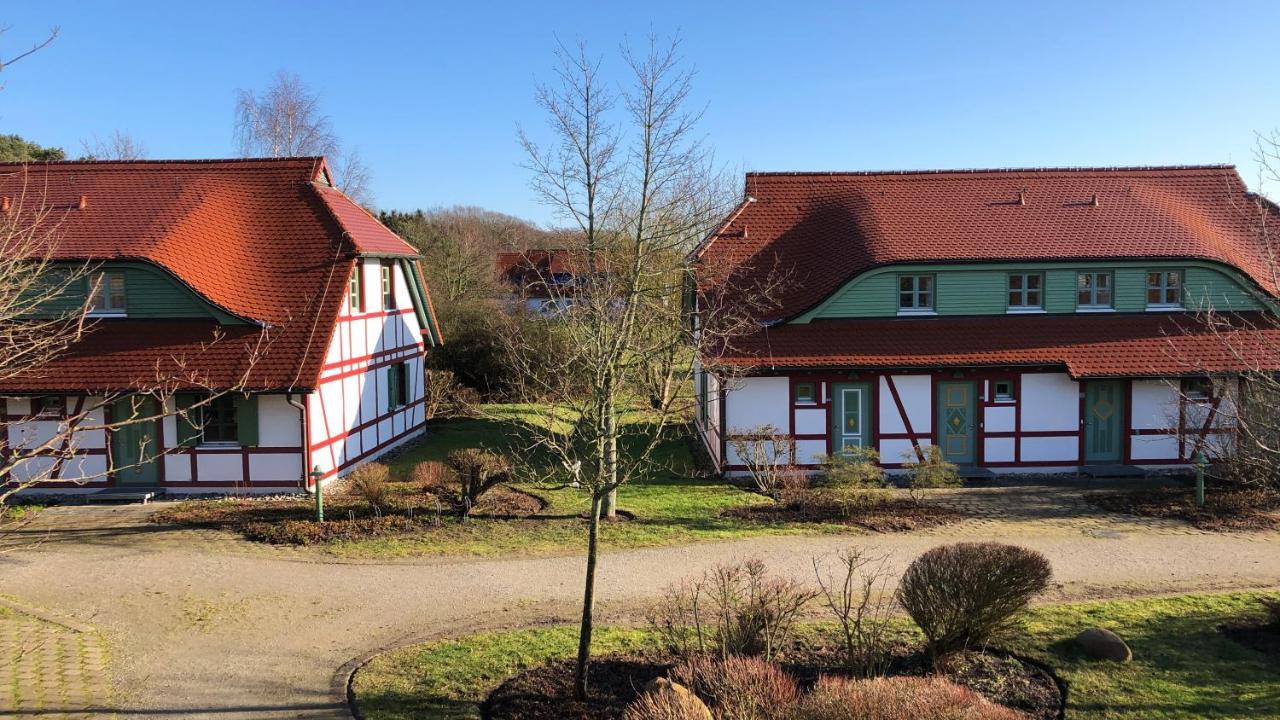 Feriendorf Rugana Insel Ruegen Fewos Vogelgesang Dranske Extérieur photo